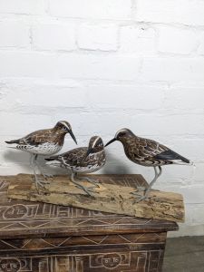 Three Birds Sitting On Log 45x20x12 cm