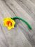 Felt Single Daffodil 40 x 8 cm - 100% Wool