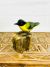 Green Garden Bird on Stand - 12 x 12 x 7 cm