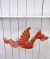 LIMITED STOCK - Large Red Dragon Ceiling Hanger   25 x 41 x 54cm