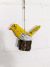 Yellow Single Bird On String 16 x 5 x 15 cm