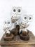 Set Of 3 Owls White On Branch 40