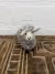 Hanging Grey Sheep