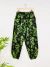 Green Dragon Print Harem Trousers