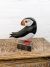 Puffin on Wood Block Turning Back 19x19 cm