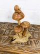 Snail On Mushrooms 14 x 20 x 9 cm