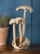 Parasite Wood - 3 Mushroom Tree 15cm