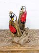 Two Owls On Driftwood