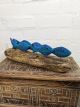 Driftwood Shoal of Blue Fish 15x34 cm