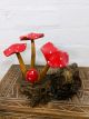 Medium Red Mushrooms 20x15 cm